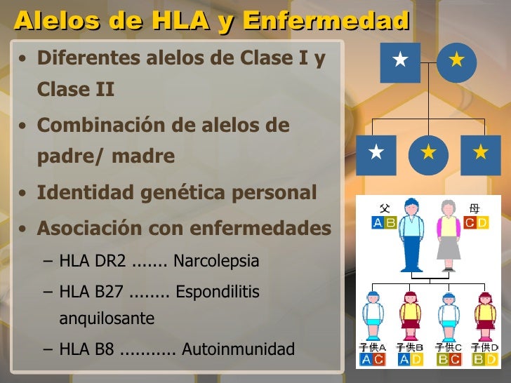 Hla