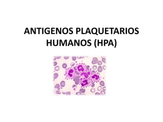 ANTIGENOS PLAQUETARIOS
HUMANOS (HPA)
 