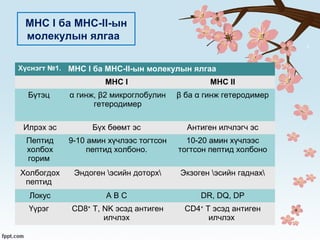 Hla | PPT