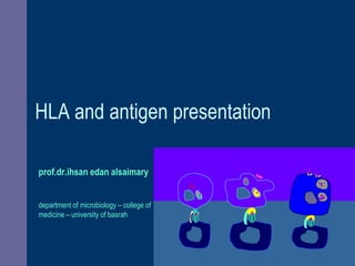 HLA and antigen presentation
prof.dr.ihsan edan alsaimary
department of microbiology – college of
medicine – university of basrah
 