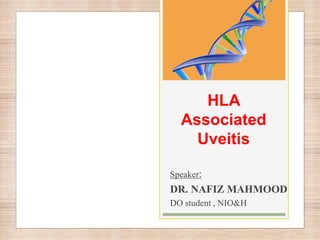 HLA
Associated
Uveitis
Speaker:
DR. NAFIZ MAHMOOD
DO student , NIO&H
 