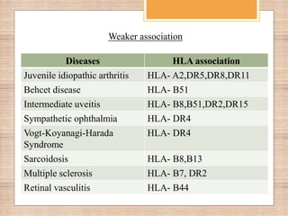 Hla associated uveitis | PPTX