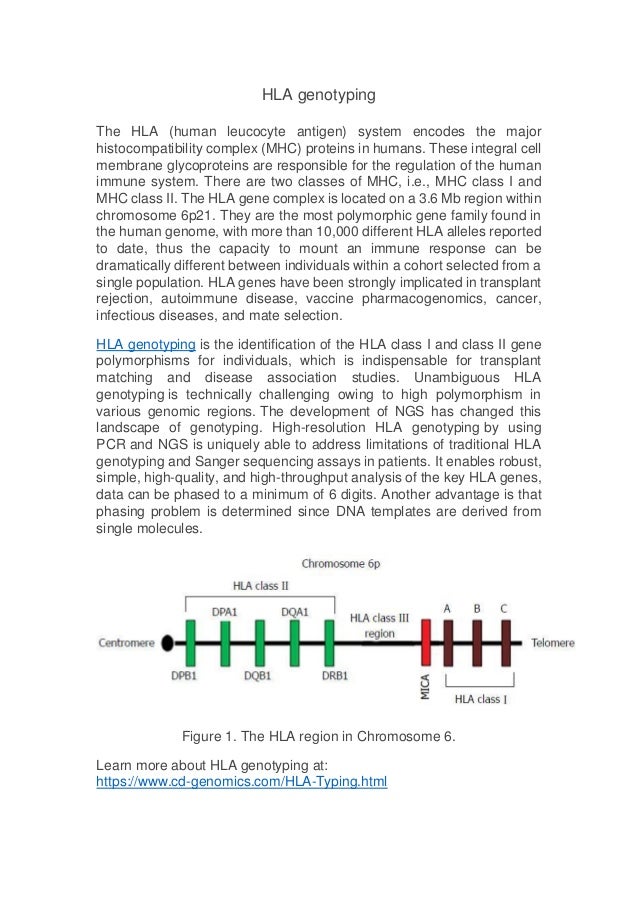 Hla genotyping