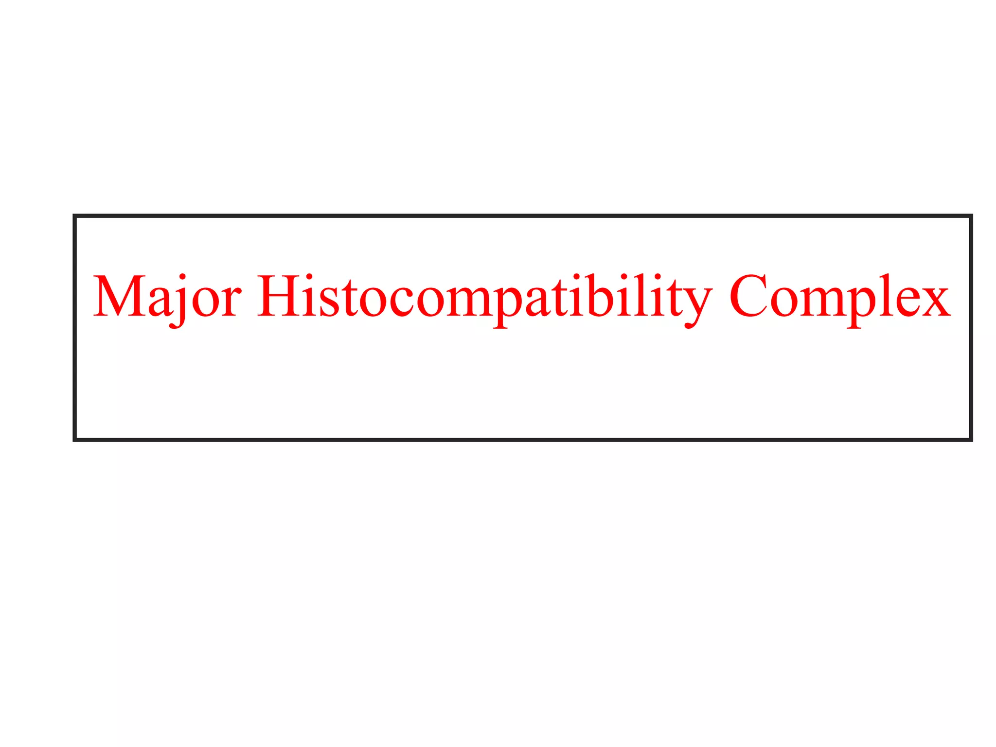 Major Histocompatibility Complex
 