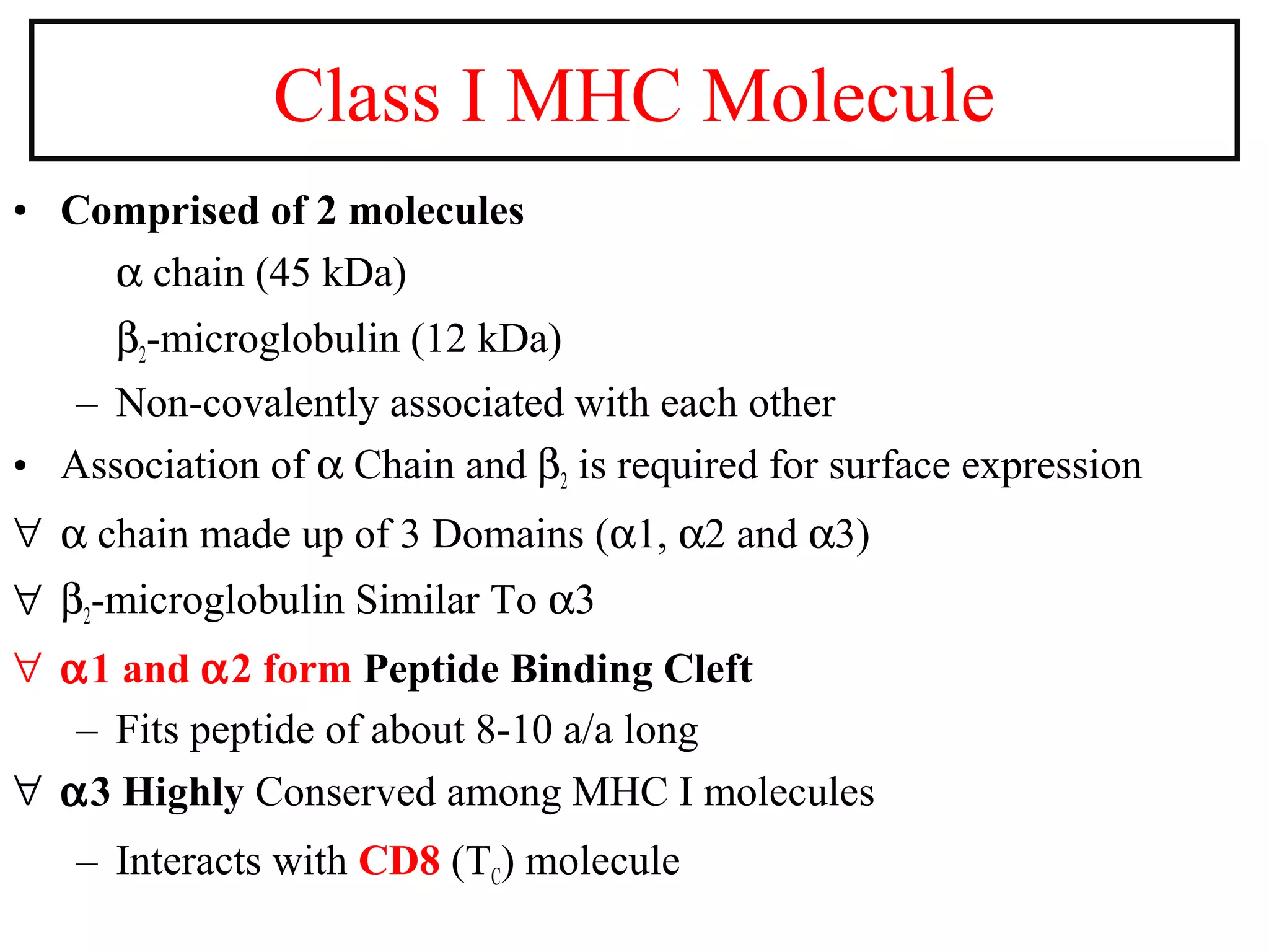 • Comprised of 2 molecules
α chain (45 kDa)
β2-microglobulin (12 kDa)
– Non-covalently associated with each other
• Association of α Chain and β2 is required for surface expression
∀ α chain made up of 3 Domains (α1, α2 and α3)
∀ β2-microglobulin Similar To α3
∀ α1 and α2 form Peptide Binding Cleft
– Fits peptide of about 8-10 a/a long
∀ α3 Highly Conserved among MHC I molecules
– Interacts with CD8 (TC) molecule
Class I MHC Molecule
 