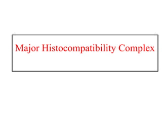 Major Histocompatibility Complex
 