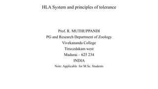 HLA System and principles of tolerance
Prof. R. MUTHUPPANDI
PG and Research Department of Zoology
Vivekananda College
Tiruvedakam west
Madurai – 625 234
INDIA
Note: Applicable for M.Sc. Students
 