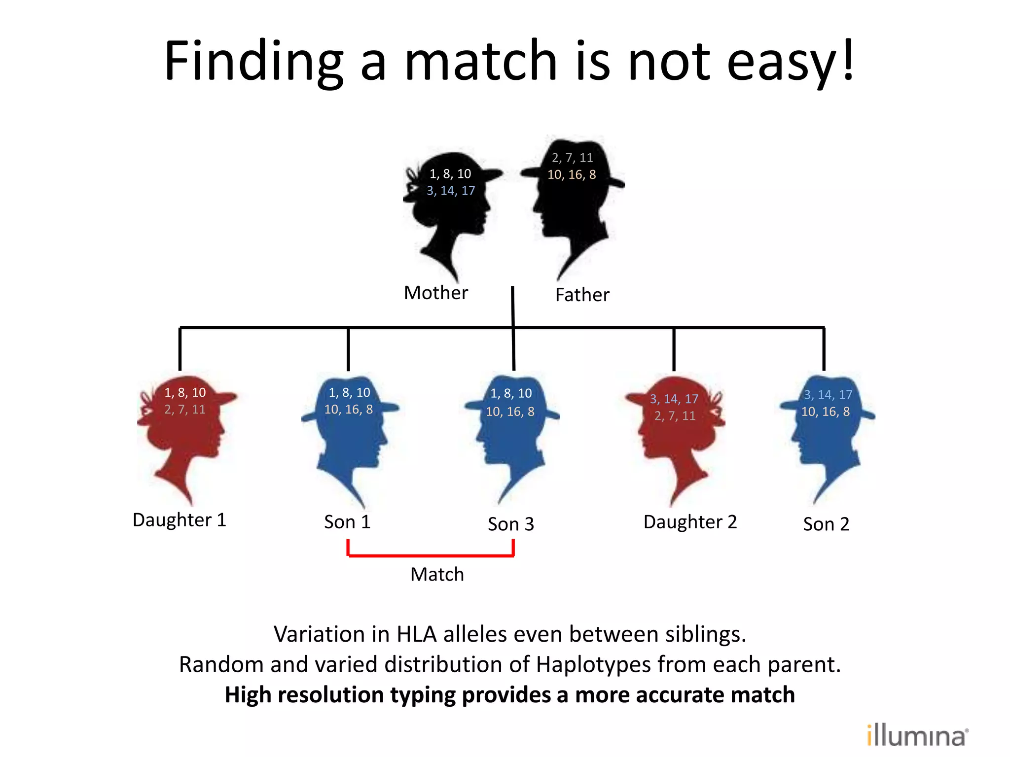 1, 8, 10
3, 14, 17
10, 16, 8
2, 7, 11
1, 8, 10 1, 8, 10
2, 7, 11 10, 16, 8
3, 14, 17
2, 7, 11
3, 14, 17
10, 16, 8
Mother Father
Daughter 1 Daughter 2Son 1 Son 2
10, 16, 8
Son 3
1, 8, 10
Variation in HLA alleles even between siblings.
Random and varied distribution of Haplotypes from each parent.
High resolution typing provides a more accurate match
Finding a match is not easy!
Match
 