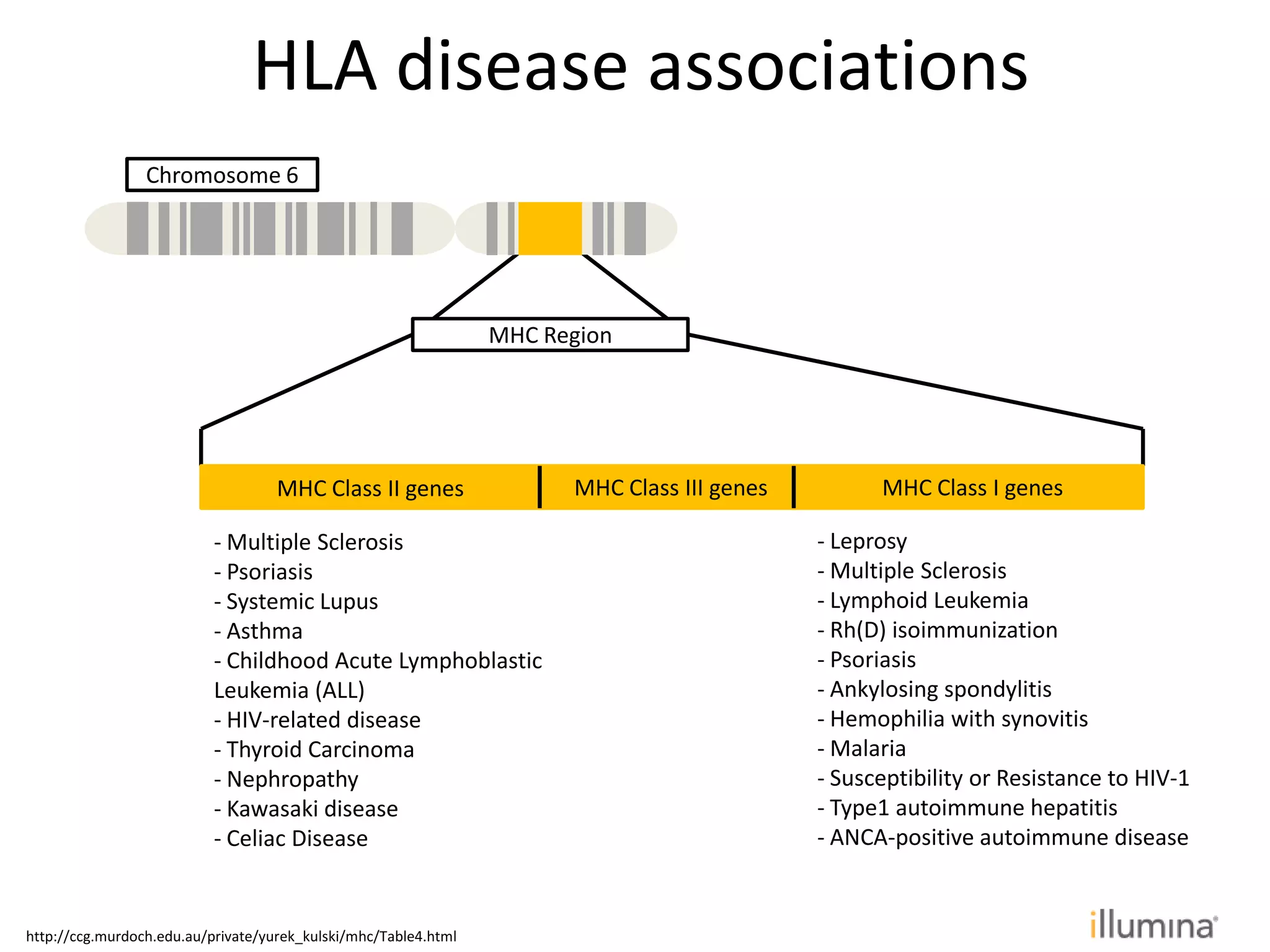 MHC Region
MHC Class II genes MHC Class III genes MHC Class I genes
HLA disease associations
Chromosome 6
- Leprosy
- Multiple Sclerosis
- Lymphoid Leukemia
- Rh(D) isoimmunization
- Psoriasis
- Ankylosing spondylitis
- Hemophilia with synovitis
- Malaria
- Susceptibility or Resistance to HIV-1
- Type1 autoimmune hepatitis
- ANCA-positive autoimmune disease
- Multiple Sclerosis
- Psoriasis
- Systemic Lupus
- Asthma
- Childhood Acute Lymphoblastic
Leukemia (ALL)
- HIV-related disease
- Thyroid Carcinoma
- Nephropathy
- Kawasaki disease
- Celiac Disease
http://ccg.murdoch.edu.au/private/yurek_kulski/mhc/Table4.html
 