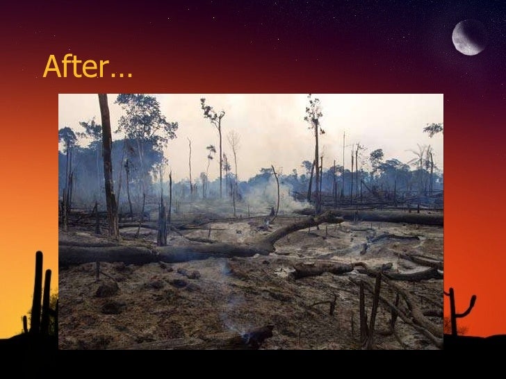 Latin America Environmental Issues