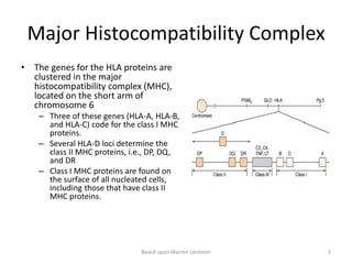 Major Histocompatibility Complex
• The genes for the HLA proteins are
clustered in the major
histocompatibility complex (MHC),
located on the short arm of
chromosome 6
– Three of these genes (HLA-A, HLA-B,
and HLA-C) code for the class I MHC
proteins.
– Several HLA-D loci determine the
class II MHC proteins, i.e., DP, DQ,
and DR
– Class I MHC proteins are found on
the surface of all nucleated cells,
including those that have class II
MHC proteins.
Based upon Warren Levinson 3
 
