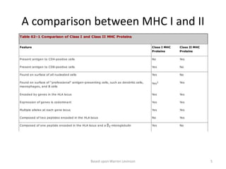 A comparison between MHC I and II
Based upon Warren Levinson 5
 