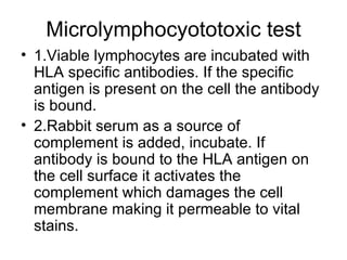 Microlymphocyototoxic test 1.Viable lymphocytes are incubated with HLA specific antibodies. If the specific antigen is present on the cell the antibody is bound. 2.Rabbit serum as a source of complement is added, incubate. If antibody is bound to the HLA antigen on the cell surface it activates the complement which damages the cell membrane making it permeable to vital stains.  