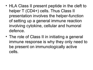 HLA Class II present peptide in the cleft to helper T (CD4+) cells. Thus Class II presentation involves the helper-function of setting up a general immune reaction involving cytokine, cellular and humoral defence. The role of Class II in initiating a general immune response is why they only need to be present on immunologically active cells.  