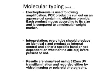 Molecular typing Contd…….
• Electrophoresis is used following
amplification. PCR product is run out on an
agarose gel containing ethidium bromide.
Each product moves according to its size
and is compared to a molecular weight
marker.
• Interpretation: every tube should produce
an identical sized product as internal
control and either a specific band or not
dependent on whether the allele(s) is/are
present or not.
• Results are visualised using 312nm UV
transillumination and recorded either by
video imaging or polaroid photography.
 