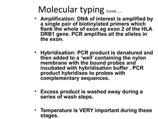 Molecular typing Contd…….
• Amplification: DNA of interest is amplified by
a single pair of biotinylated primers which
flank the whole of exon eg exon 2 of the HLA
DRB1 gene. PCR amplifies all the alleles in
the exon.
• Hybridisation: PCR product is denatured and
then added to a ‘well’ containing the nylon
membrane with the bound probes and
incubated with hybridisation buffer . PCR
product hybridises to probes with
complementary sequences.
• Excess product is washed away during a
series of wash steps.
• Temperature is VERY important during these
stages.
 