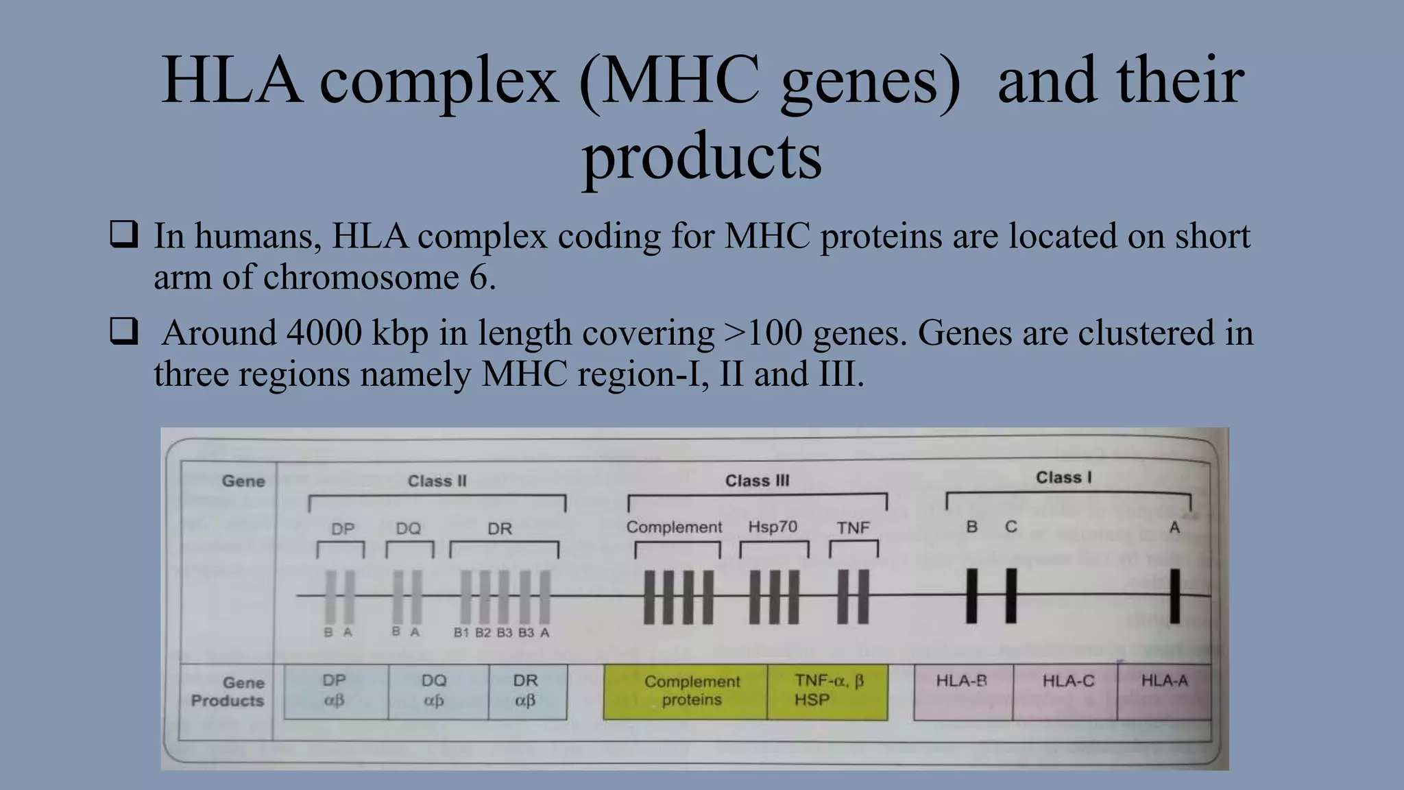 Hla Typing Of The Family And The Inheritance Of Haplotype A Study Of