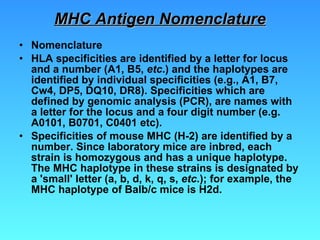 MHC Antigen Nomenclature Nomenclature HLA specificities are identified by a letter for locus and a number (A1, B5,  etc .) and the haplotypes are identified by individual specificities (e.g., A1, B7, Cw4, DP5, DQ10, DR8). Specificities which are defined by genomic analysis (PCR), are names with a letter for the locus and a four digit number (e.g. A0101, B0701, C0401 etc).  Specificities of mouse MHC (H-2) are identified by a number. Since laboratory mice are inbred, each strain is homozygous and has a unique haplotype. The MHC haplotype in these strains is designated by a 'small' letter (a, b, d, k, q, s,  etc .); for example, the MHC haplotype of Balb/c mice is H2d. 