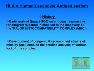 HLA = Human Leucocyte Antigen system History  Early work of  Gorer  (1930) on antigens responsible for allograft rejection in mice led to the discovery of the ‘MAJOR HISTOCOMPATIBILITY COMPLEX (MHC)’. Development of congenic & recombinant strains of mice by  Snell  enabled the detailed analysis of various loci of this complex. 