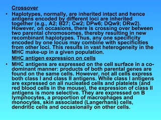 Crossover Haplotypes, normally, are inherited intact and hence antigens encoded by different loci are inherited together (e.g., A2; B27; Cw2; DPw6; DQw9; DRw2). However, on occasions, there is crossing over between two parental chromosomes, thereby resulting in new recombinant haplotypes. Thus, any one specificity encoded by one locus may combine with specificities from other loci. This results in vast heterogeneity in the MHC make-up in a given population. MHC antigen expression on cells MHC antigens are expressed on the cell surface in a co-dominant manner: products of both parental genes are found on the same cells. However, not all cells express both class I and class II antigens. While class I antigens are expressed on all nucleated cells and platelets (and red blood cells in the mouse), the expression of class II antigens is more selective. They are expressed on B lymphocytes, a proportion of macrophages and monocytes, skin associated (Langerhans) cells, dendritic cells and occasionally on other cells. 