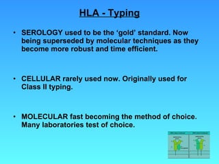 HLA - Typing SEROLOGY used to be the ‘gold’ standard. Now being superseded by molecular techniques as they become more robust and time efficient. CELLULAR rarely used now. Originally used for Class II typing. MOLECULAR fast becoming the method of choice. Many laboratories test of choice. 