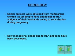 Earlier antisera were obtained from multiparous  women ,as tending to have antibodies to HLA antigens of their husbands owing to sensitization during pregnancy. Now monoclonal antibodies to HLA antigens have been developed. SEROLOGY 