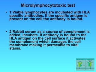 Microlymphocytotoxic test 1.Viable lymphocytes are incubated with HLA specific antibodies. If the specific antigen is present on the cell the antibody is bound. 2.Rabbit serum as a source of complement is added, incubate. If antibody is bound to the HLA antigen on the cell surface it activates the complement which damages the cell membrane making it permeable to vital stains.  