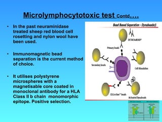 Microlymphocytotoxic test  Contd …. In the past neuraminidase treated sheep red blood cell rosetting and nylon wool have been used. Immunomagnetic bead separation is the current method of choice. It utilises polystyrene microspheres with a magnetisable core coated in monoclonal antibody for a HLA Class II b chain  monomorphic epitope. Positive selection.   