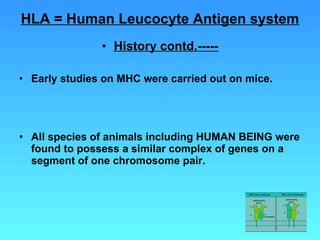 HLA = Human Leucocyte Antigen system History contd.----- Early studies on MHC were carried out on mice. All species of animals including HUMAN BEING were found to possess a similar complex of genes on a segment of one chromosome pair. 