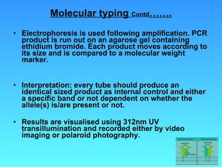 Molecular typing  Contd ……. Electrophoresis is used following amplification. PCR product is run out on an agarose gel containing ethidium bromide. Each product moves according to its size and is compared to a molecular weight marker.  Interpretation: every tube should produce an identical sized product as internal control and either a specific band or not dependent on whether the allele(s) is/are present or not. Results are visualised using 312nm UV transillumination and recorded either by video imaging or polaroid photography. 
