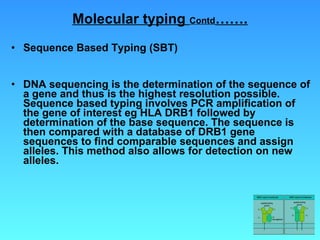 Molecular typing  Contd ……. Sequence Based Typing (SBT) DNA sequencing is the determination of the sequence of a gene and thus is the highest resolution possible. Sequence based typing involves PCR amplification of the gene of interest eg HLA DRB1 followed by determination of the base sequence. The sequence is then compared with a database of DRB1 gene sequences to find comparable sequences and assign alleles. This method also allows for detection on new alleles. 