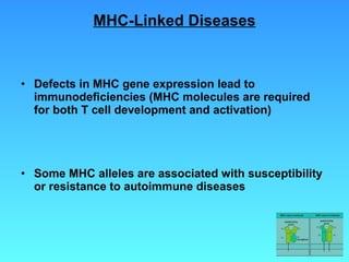 MHC-Linked Diseases Defects in MHC gene expression lead to immunodeficiencies (MHC molecules are required for both T cell development and activation) Some MHC alleles are associated with susceptibility or resistance to autoimmune diseases 