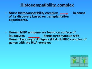 Histocompatibility complex Name  histocompatibility complex  because of its discovery based on transplantation experiments. Human MHC antigens are found on surface of leucocytes  hence synonymous with Human Leucocyte Antigens (HLA) & MHC complex of genes with the HLA complex. 