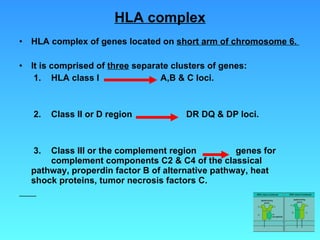 HLA complex HLA complex of genes located on  short arm of chromosome 6.  It is comprised of  three  separate clusters of genes:   1.  HLA class I  A,B & C loci.   2.  Class II or D region  DR DQ & DP loci.   3.  Class III or the complement region  genes for  complement components C2 & C4 of the classical  pathway, properdin factor B of alternative pathway, heat  shock proteins, tumor necrosis factors  C. 