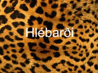 Hlébarði Hlébarði 