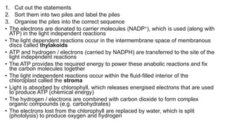 1. Cut out the statements
2. Sort them into two piles and label the piles
3. Organise the piles into the correct sequence
• The electrons are donated to carrier molecules (NADP+), which is used (along with
ATP) in the light independent reactions
• The light dependent reactions occur in the intermembrane space of membranous
discs called thylakoids
• ATP and hydrogen / electrons (carried by NADPH) are transferred to the site of the
light independent reactions
• The ATP provides the required energy to power these anabolic reactions and fix
the carbon molecules together
• The light independent reactions occur within the fluid-filled interior of the
chloroplast called the stroma
• Light is absorbed by chlorophyll, which releases energised electrons that are used
to produce ATP (chemical energy)
• The hydrogen / electrons are combined with carbon dioxide to form complex
organic compounds (e.g. carbohydrates)
• The electrons lost from the chlorophyll are replaced by water, which is split
(photolysis) to produce oxygen and hydrogen
 