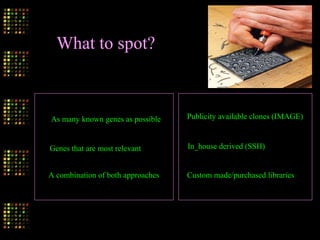 What to spot?
As many known genes as possible
Genes that are most relevant
A combination of both approaches
Publicity available clones (IMAGE)
In_house derived (SSH)
Custom made/purchased libraries
 