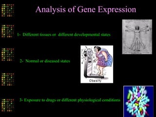 Analysis of Gene Expression
1- Different tissues or different developmental states
2- Normal or diseased states
3- Exposure to drugs or different physiological conditions
 