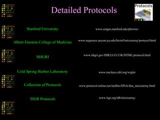 Detailed Protocols
Stanford University
Albert Einstein College of Medicine
NHGRI
Cold Spring Harbor Laboratory
Collection of Protocols
TIGR Protocols
www.cmgm.stanford.edu/pbrown/
www.sequence.aecom.yu.edu/bioinf/microarray/protocol.html
www.nhgri.gov/DIR/LCG/15K/HTML/protocol.html
www.nucleus.cshl.org/wigler
www.protocol-online.net/molbio/DNA/dna_microarray.html
www.tigr.org/tdb/microarray
 