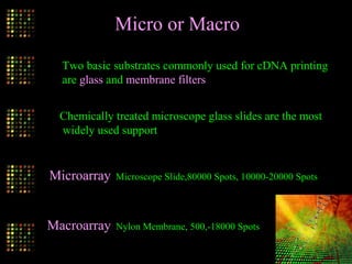 Two basic substrates commonly used for cDNA printing
are glass and membrane filters
Chemically treated microscope glass slides are the most
widely used support
Microarray, Microscope Slide,80000 Spots, 10000-20000 Spots
Macroarray, Nylon Membrane, 500,-18000 Spots
Micro or Macro
 