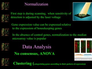 Data Analysis
Normalization
First step is during scanning, when sensitivity of
detection is adjusted by the laser voltage
Gene expression value can be expressed relative
to the expression of housekeeping genes
In the absence of control genes, normalization to the median
microarray value is popular
No consensus, ANOVA
Clustering (categorizing genes according to their pattern of expression)
 
