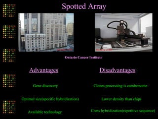 Ontario Cancer Institute
Spotted Array
Advantages
Gene discovery
Optimal size(specific hybridization)
Available technology
Disadvantages
Clones processing is cumbersome
Lower density than chips
Cross hybridization(repetitive sequence)
 