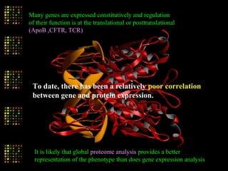 Many genes are expressed constitutively and regulation
of their function is at the translational or posttranslational
(ApoB ,CFTR, TCR)
To date, there has been a relatively poor correlation
between gene and protein expression.
It is likely that global proteome analysis provides a better
representation of the phenotype than does gene expression analysis
 