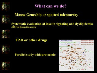 Mouse Genechip or spotted microarray
Systematic evaluation of insulin signaling and dyslipidemia
different tissue,time course
TZD or other drugs
Parallel study with protoemic
What can we do?
 