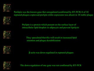 Perilipin was the known gene that unregulated (confirmed by RT-PCR) 8 of 10
ruptured plaques expressed prelipin while expression was absent in 10 stable plaque
Prelipin is a protein which present on the surface layer of
intracellular lipid droplets in adipocyte and prevent lipolysis
They speculated that this will result in increased lipid
retention and plaque destabilization
β actin was down regulated in ruptured plaques
The down regulation of one gene was not confirmed by RT-PCR
 