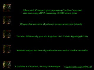 L.D Adams, S.M Schwartz, University of Washington
Adams et al. Compared gene expression of media of aorta and
vena cava, using cDNA microarray of 4048 known genes
68 genes had consistent elevation in message expression the aorta
The most differentially gene was Regulator of G P rotein Signaling (RGS5)
Northern analysis and in situ hybridization were used to confirm the results
Circulation Research 2000.8.623
Role of Lipid Rafts in AMPA Receptor Trafficking and Synaptic Plasticity
Last ten years has been witness of emerging the concept of lipid rafts which has
changed and revolutionized the classical two-dimensional "fluid mosaic" model of
plasma membrane (Singer & Nicolson 1972). The new plasma membrane model or so
called "liquid-ordered" membrane is based on the existence of organized, detergent
resistance discrete detergent resistance microdomain of plasma membrane named lipid
rafts. Rafts are membrane subdomains, enriched in cholesterol and sphingolipids. These
microdomains act as plat forms for conducting a variety of cellular functions, such as
vesicular trafficking and signal transduction (recently reviewed by Simons K, Toomre D,
Nature Reviews, 2000, 1:31-39; Galbiati F., et al. Cell, 2001, 106:403-411).
Recent data supports that manipulation of cellular lipid composition especially
cholesterol and fatty acid contents of plasma membrane bilayer disrupt lipid
microdomains integrity, which can subsequently modulate signal transduction and
membrane trafficking. There are several classical methods to disrupt rafts integrity
including cholesterol sequestration (by using antibiotics such as filipin or nistatin; or by
using pore-forming agents such as saponin or digitonin), cholesterol depletion (by
methyl-β -cyclodextrin), inhibition of cholesterol synthesis (by statins), and perturbation
of raft stability (by using exogenous cholesterol, exogenous gangliosides, exogenous
polyunsaturated fatty acids).
Several important enzymes and signaling proteins such as insulin receptors,
PDGF, eNOS, CD36, src-family of tyrosine kinases are localized in lipid rafts (Ref: ).
More recently Suzuki et al. (Suzuki T., et al. 2001, Mol. Brain. Res. 89:20-28) reported
evidences for localization of AMPA-type glutamate receptors in the dendritic rafts.
Glutamate receptors (AMPAs, NMDARs) activities are essential to many neurological
functions. Overactivity of these receptors can cause neurological death as a result of
excitotoxicity. Excitotoxicity is a key event leading to neuronal injury in stroke patients.
Recent evidence supports central role of AMPA receptors in the pathologies caused by
brain ischemia. Although the underlying mechanism (s) are not fully understood,
modulating AMPA receptors have been shown to be neuroprotoctive. Therefore
 