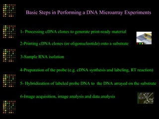 Basic Steps in Performing a DNA Microarray Experiments
1- Processing cDNA clones to generate print-ready material
2-Printing cDNA clones (or oligonucleotide) onto a substrate
3-Sample RNA isolation
4-Preparation of the probe (e.g. cDNA synthesis and labeling, RT reaction)
5- Hybridization of labeled probe DNA to the DNA arrayed on the substrate
6-Image acquisition, image analysis and data analysis
 