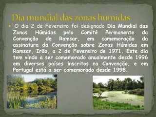 O dia 2 de Fevereiro foi designado Dia Mundial das Zonas Húmidas pelo Comité Permanente da Convenção de Ramsar, em comemoração da assinatura da Convenção sobre Zonas Húmidas em Ramsar, Irão, a 2 de Fevereiro de 1971. Este dia tem vindo a ser comemorado anualmente desde 1996 em diversos países inscritos na Convenção, e em Portugal está a ser comemorado desde 1998.Dia mundial das zonas húmidas