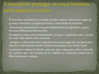 Controlam inundações e a erosão, porque retêm e absorvem a água de grandes chuvadas e a vegetação reduz a velocidade da corrente. Alimentam reservatórios naturais subterrâneos de água doce, que o homem utiliza para diversos fins.Protegem a costa contra tempestades, porque a vegetação reduz a acção do vento, das ondas e das correntes.  Abrigam e alimentam aves migradoras e outras espécies, em particular durante a reprodução, sendo fundamentais para a sua conservação. Contrariam o efeito de Estufa, uma vez que a vegetação retém o dióxido de carbono que, em excesso no ar, impede as radiações solares de se libertarem para o espaço.É necessário  proteger  as zonas húmidas pelas seguintes razões : 