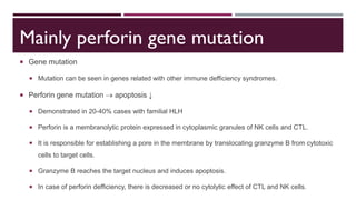  Gene mutation
 Mutation can be seen in genes related with other immune defficiency syndromes.
 Perforin gene mutation  apoptosis ↓
 Demonstrated in 20-40% cases with familial HLH
 Perforin is a membranolytic protein expressed in cytoplasmic granules of NK cells and CTL.
 It is responsible for establishing a pore in the membrane by translocating granzyme B from cytotoxic
cells to target cells.
 Granzyme B reaches the target nucleus and induces apoptosis.
 In case of perforin defficiency, there is decreased or no cytolytic effect of CTL and NK cells.
Mainly perforin gene mutation
 